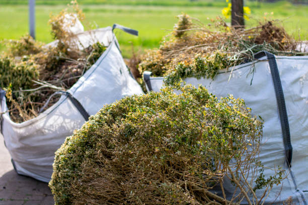 Best Demolition Debris Removal  in Kouts, IN